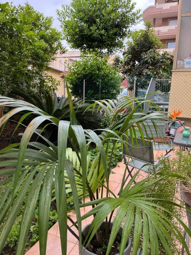 Tangerine Tree House Apartment กาญารี ภายนอก รูปภาพ